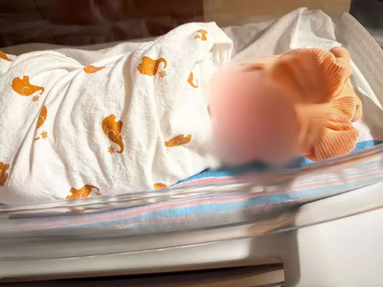 33238104dc2c306d6e9b426e5fddfab3