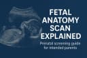 fetal anatomy scan