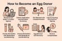 how to become an egg donor