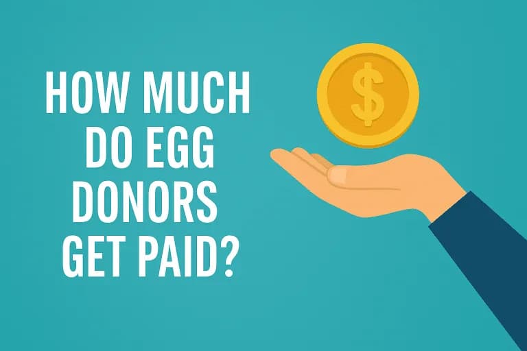 egg donor compensation