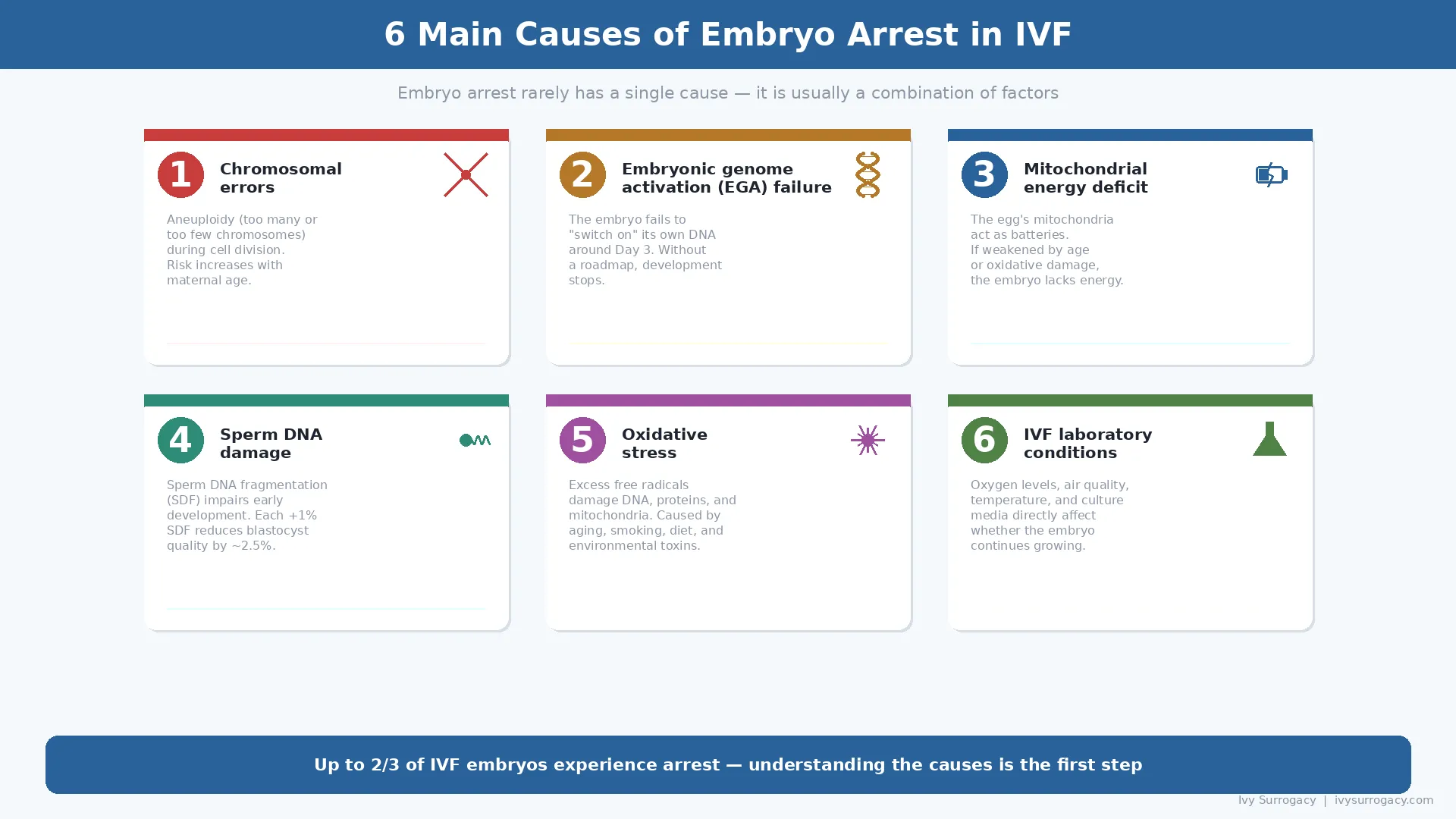 Infographic showing 6 main causes of embryo arrest in IVF: chromosomal errors, embryonic genome activation failure, mitochondrial energy deficit, sperm DNA damage, oxidative stress, and IVF laboratory conditions