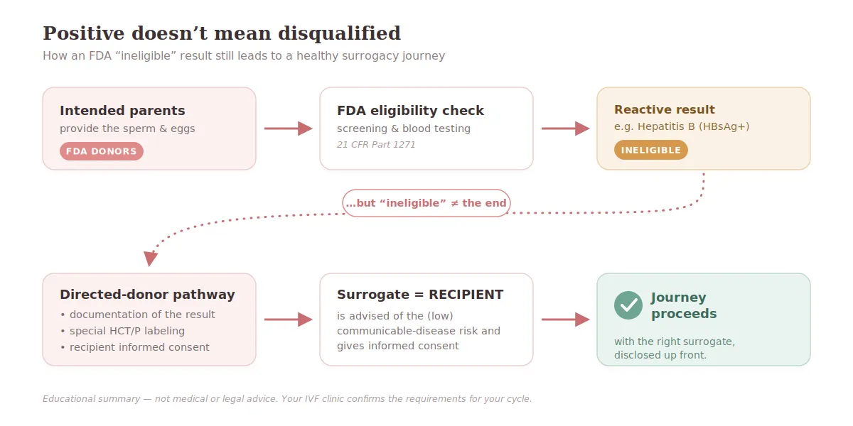 Flow diagram showing intended parents as FDA donors, an FDA eligibility check, a reactive hepatitis B (HBsAg+) result marked "ineligible," and then the directed-donor pathway — documentation, special labeling, and the surrogate's informed consent as recipient — leading to the surrogacy journey proceeding.