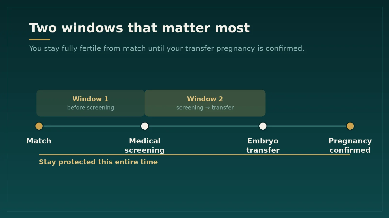 Timeline from match to confirmed pregnancy; the surrogate stays fertile throughout, with the two highest-risk windows highlighted — before screening, and between screening and transfer.