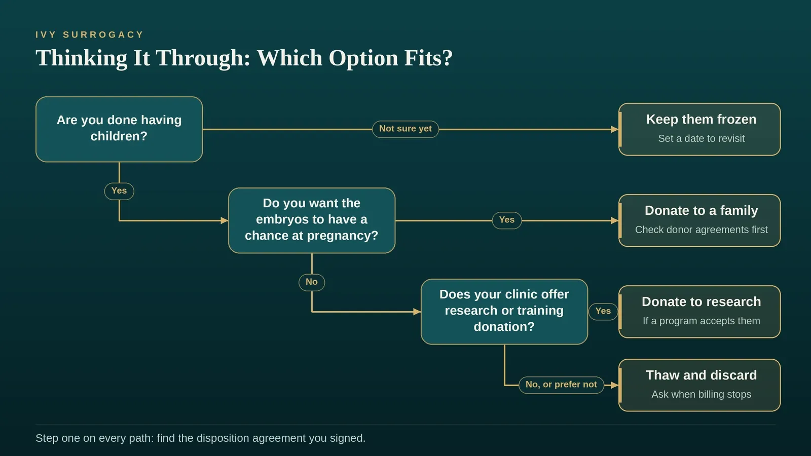 A decision flowchart for leftover embryos: keep frozen, donate to a family, donate to research, or thaw and discard.