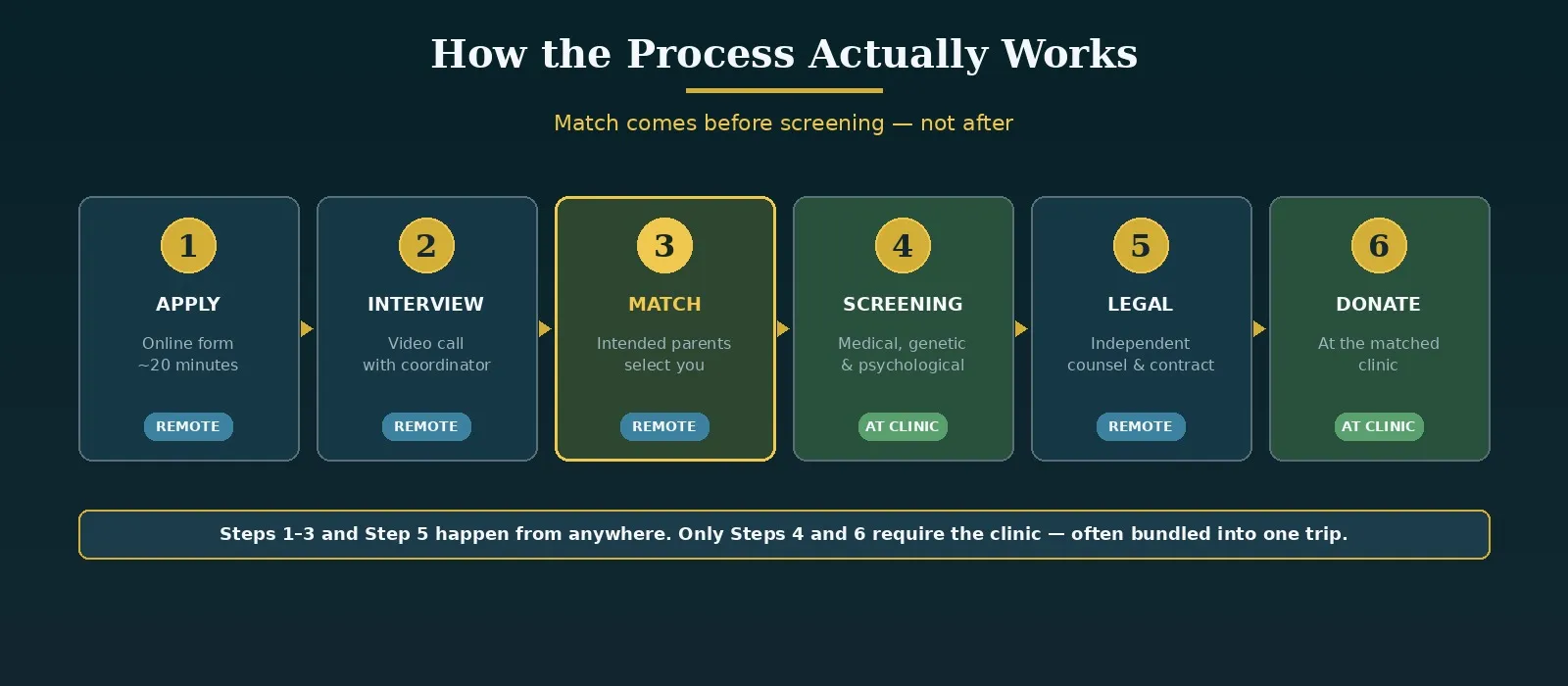 Six-step horizontal flowchart of Ivy Surrogacy's known sperm donation process: Apply, Interview, Match (highlighted in gold as the pivotal step), Screening (medical, genetic, and psychological), Legal, and Donate. Steps tagged "Remote" or "At Clinic" show that matching happens before any screening, and only the screening and donation steps require visiting the clinic.
