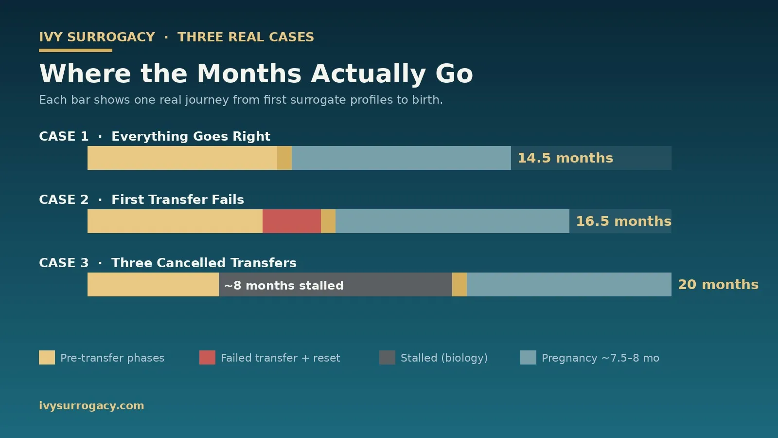 Gantt chart comparing three real Ivy Surrogacy cases side by side: Case 1 ended at 14.5 months with everything going right, Case 2 at 16.5 months after one failed embryo transfer, and Case 3 at 20 months with an ~8-month stalled period from three cancelled transfers.
