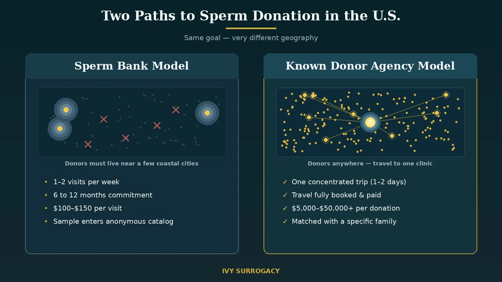 Side-by-side comparison of the two U.S. sperm donation models: the sperm bank model showing a few isolated donor hubs clustered in coastal cities with red X marks for unreachable areas, versus the known donor agency model showing a dense nationwide donor network connected by lines to a single central fertility clinic.